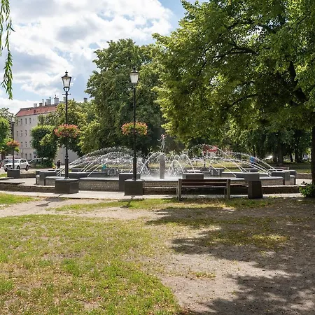 Apartament Sunflower - 3 Bedroom
